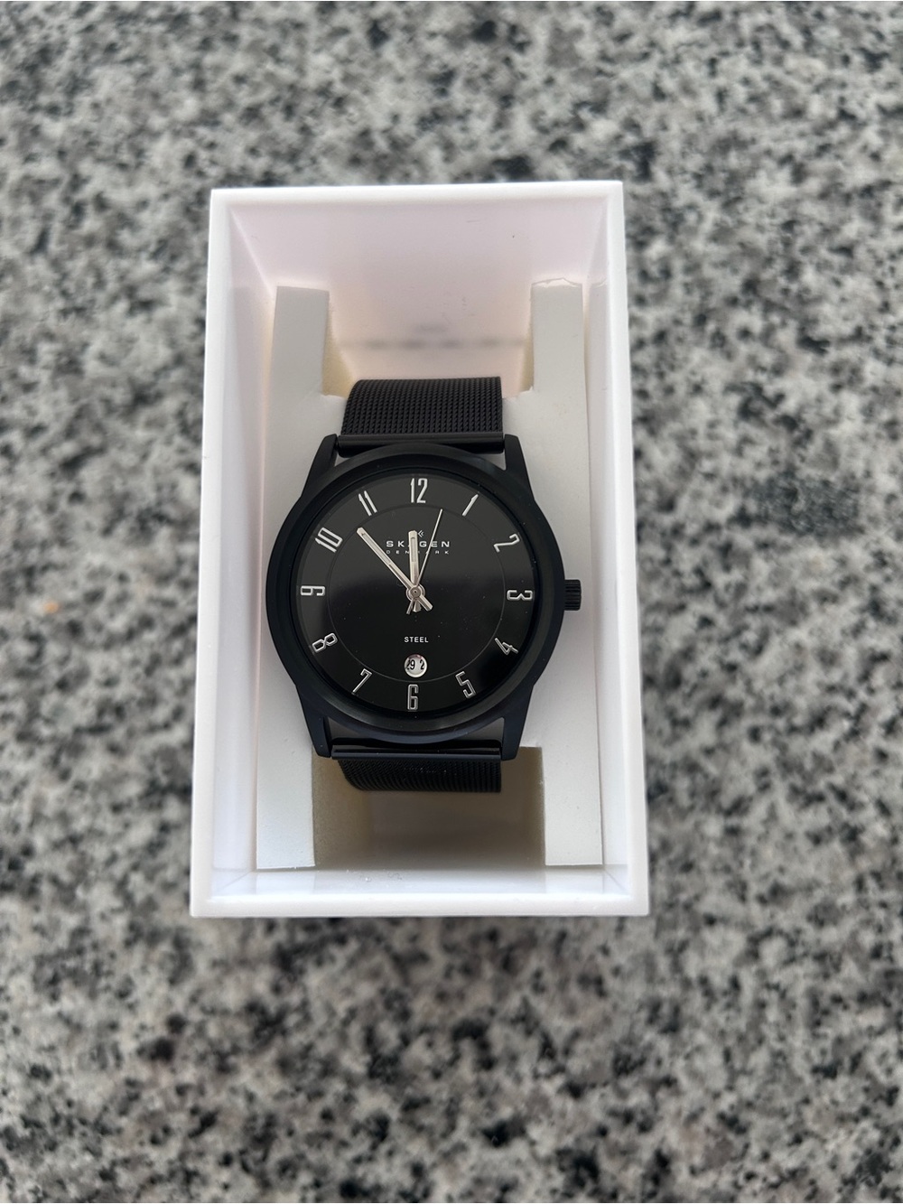 Skagen Men's Black Watch
